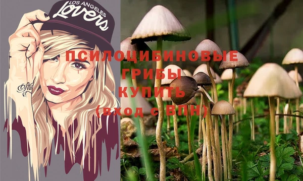 первитин Белоозёрский