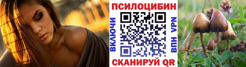 что такое наркотик  Уссурийск  Псилоцибиновые грибы GOLDEN TEACHER 